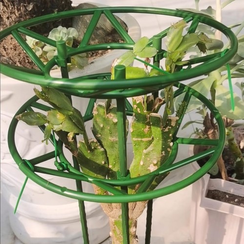 塑料多层花架通用|超2000次加购