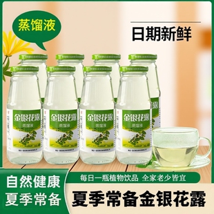 大别山特产金银花露整箱饮料夏季银花露蒸馏液饮品植物瓶装玻璃瓶