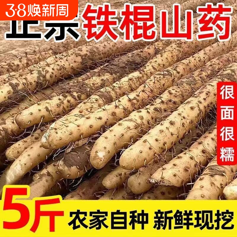 河北铁棍山药小白嘴山药新鲜山药淮山药产地直发新鲜粉糯5斤包邮