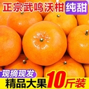 现摘纯甜 包邮 广西沃柑10斤橘子新鲜水果当季 一级沙糖蜜橘砂糖柑橘