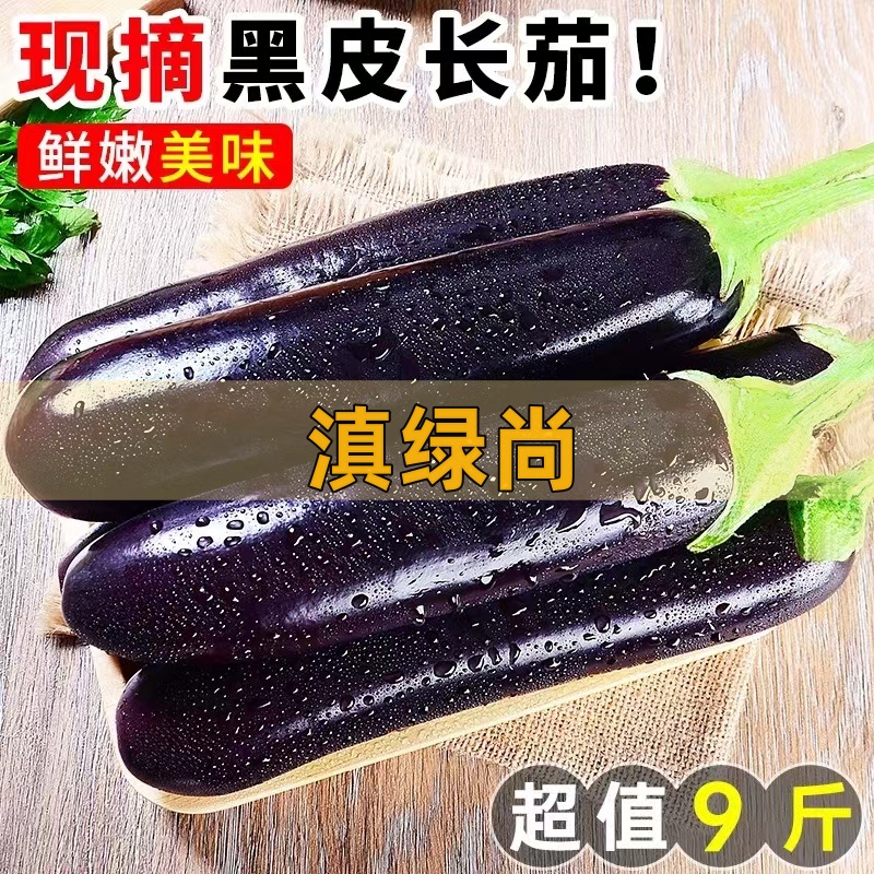 【优选】紫皮茄子新鲜农家自种绿把长茄当季蔬菜茄子整箱多地发货