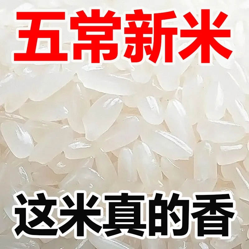 正宗五常稻香米东北5斤10斤20斤便宜米大米新米批发