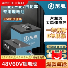 48v锂电池60v电动车锂电池九号雅迪小牛新日台铃小刀绿源电瓶车