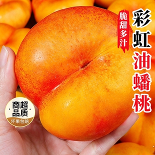 新鲜彩虹油蟠桃现摘桃子应当季蜜桃扁桃脆甜多汁潘桃大果整箱包邮