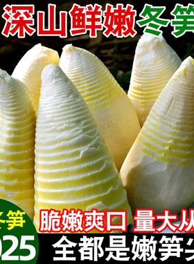 冬笋 新鲜 5斤装竹笋野生现挖春笋冬笋水煮清水笋火锅笋尖陀螺笋