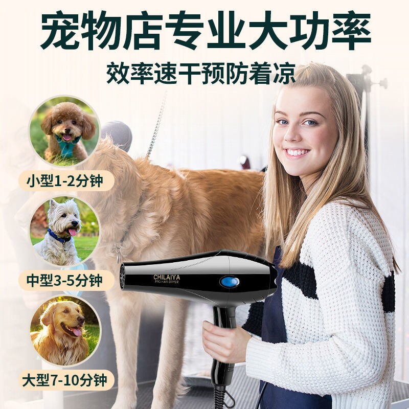 宠物狗吹风机大功率静音狗狗电吹风金毛泰迪猫咪大型犬专用吹水机