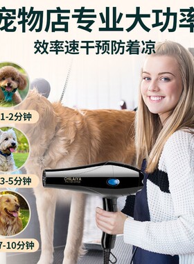 宠物狗吹风机大功率静音狗狗电吹风金毛泰迪猫咪大型犬专用吹水机