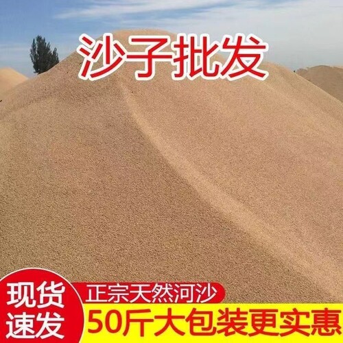 天然河沙细沙沙子黄沙沙土粗沙砂土壤种植实验填充鱼缸种菜营养土