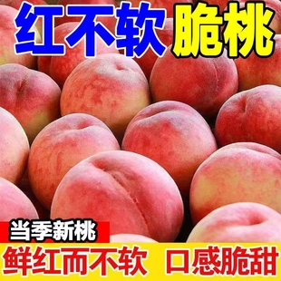 红不软脆甜水蜜桃现摘现发整箱包邮应季新鲜水果毛桃孕妇水果桃子