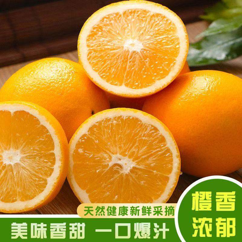 正宗赣南脐橙新鲜采 摘甜蜜多汁儿童孕妇应季水果甜橙补维c