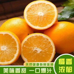 江西正宗赣南脐橙当季新鲜水果甜橙现采直发天然维c手剥橙子
