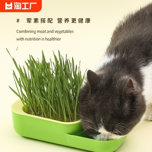 新款猫草盒送五包种子助消化零食