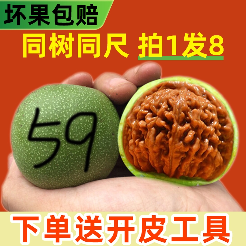 核桃文玩赌青皮盘玩四座楼狮子头磨盘麒麟官帽老树手工大尺寸野生