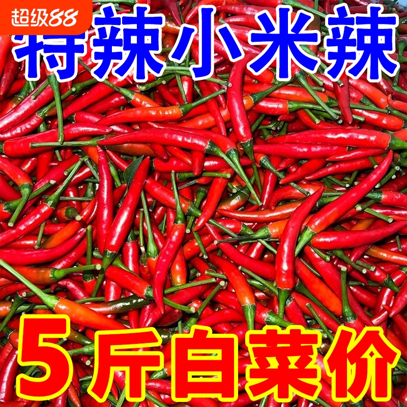 特香特辣小米辣新鲜现摘