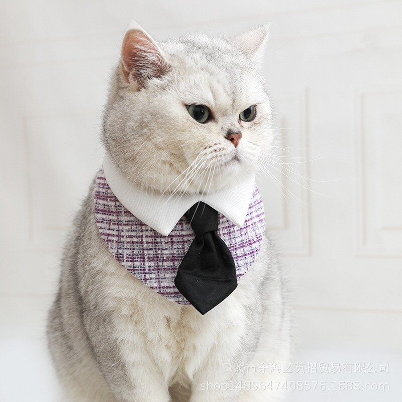 国潮绅士服宠物饰品猫咪蝴蝶结围脖英短帅气西服假领项圈狗狗围兜