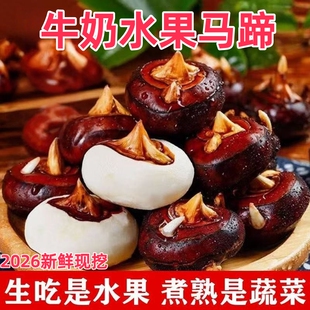 新鲜荸荠马蹄地栗地梨5斤农家水果蔬菜红应季马蹄果现挖脆甜多汁