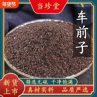 车前子中药500g车前子籽泡水茶中药材车前子壳车钱子车前草种子