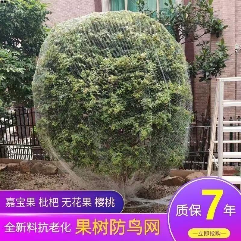 果园果树防鸟罩菜地枇杷樱桃蓝莓新款尼龙防护网嘉宝果阳台保护罩