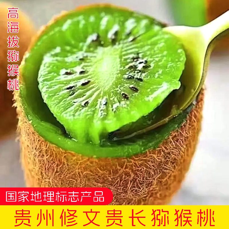 【18枚】贵州修文猕猴桃