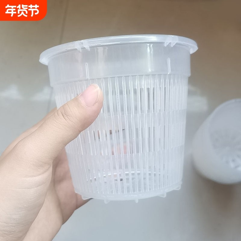 控根盆兰花专用盆透气控水防烂蝴蝶兰地面盆绿植盆桌面花卉盆园艺,鲜花速递/花卉仿真/绿植园艺,花盆,淘宝优惠券,粉丝福利购,淘宝优惠卷
