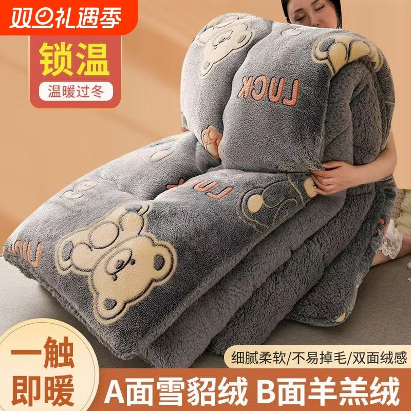 羊羔绒被芯珊瑚绒被子冬被棉被加厚单人学生冬天双面保暖8斤过冬