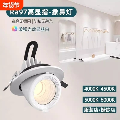 象鼻灯4500k射灯|151人收藏