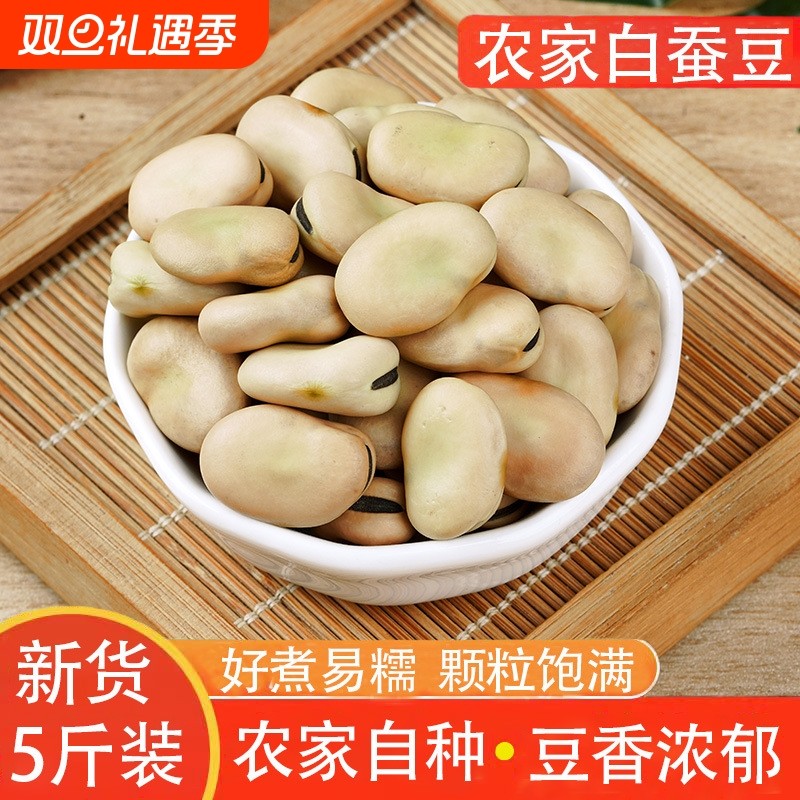 新货干蚕豆生的农家干胡豆五谷杂粮生蚕豆罗汉豆皮蚕豆新鲜优质