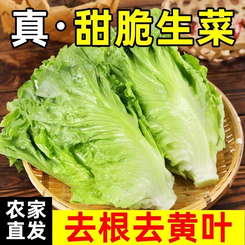 云南高山露天意大利生菜新鲜蔬菜生吃沙拉凉拌罗马球生火锅菜5斤,水产肉类/新鲜蔬果/熟食,叶菜类,淘宝优惠券,粉丝福利购,淘宝优惠卷
