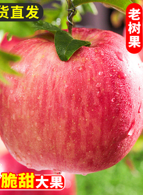 陕西正宗红富士苹果应当季新鲜水果整箱10冰糖心丑平果包邮斤黄金