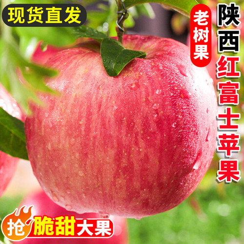 陕西正宗红富士苹果应当季新鲜水果整箱10脆甜冰糖心丑平果包邮斤