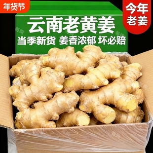 【姜农批发】老姜新鲜现挖正宗云南小黄姜土姜月子姜新姜批发整箱