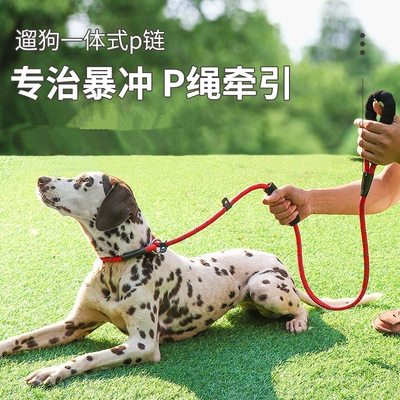 狗狗牵引绳小中大型犬防爆冲P链
