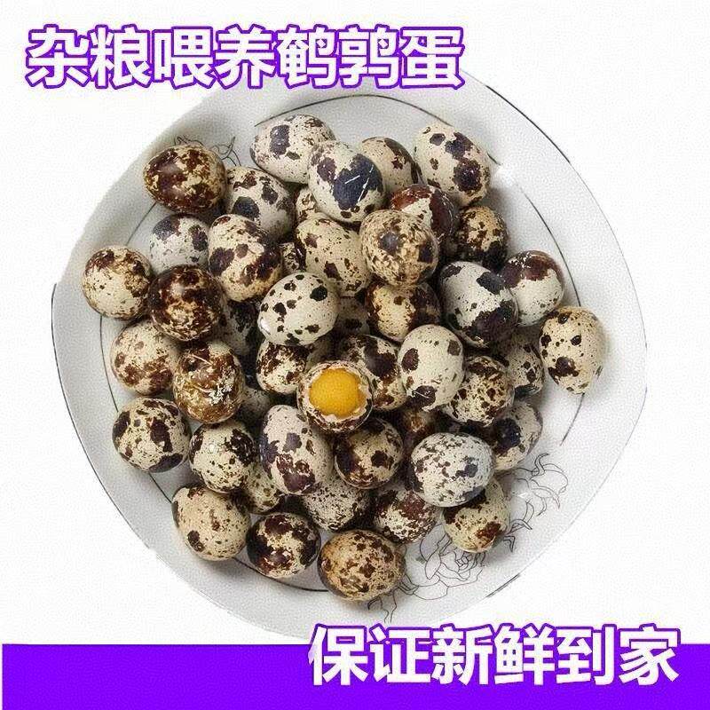 农家新鲜鹌鹑蛋生蛋新鲜生的农家100枚孕产妇滋补营养宝宝辅食