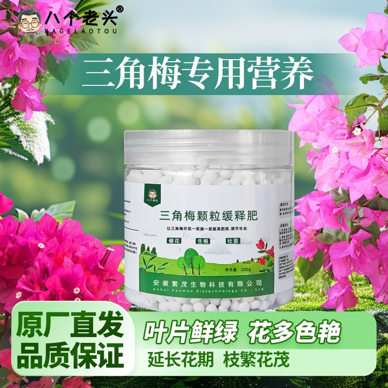 八个老头壮根多花三角梅专用肥