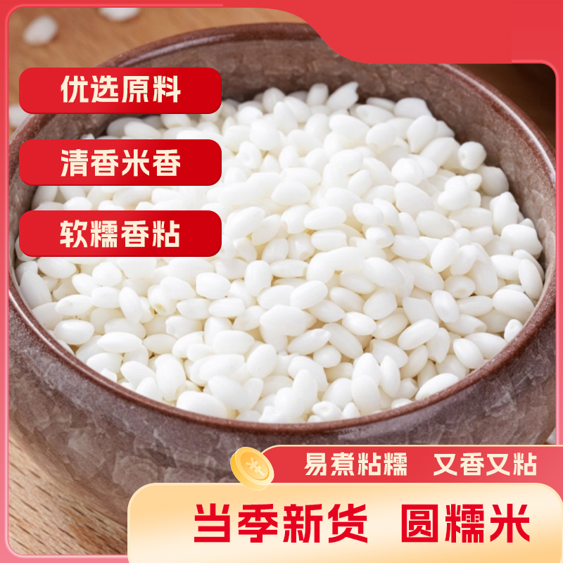 珍农耕 新圆糯米包粽子酒酿专用新米