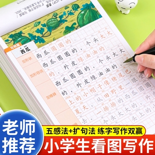 小学生专业语文扩句法五感法作文练字帖一二三年级上册下册看图写话字帖专项训练人教版楷书汉字描红每日一练硬笔书法练习纸