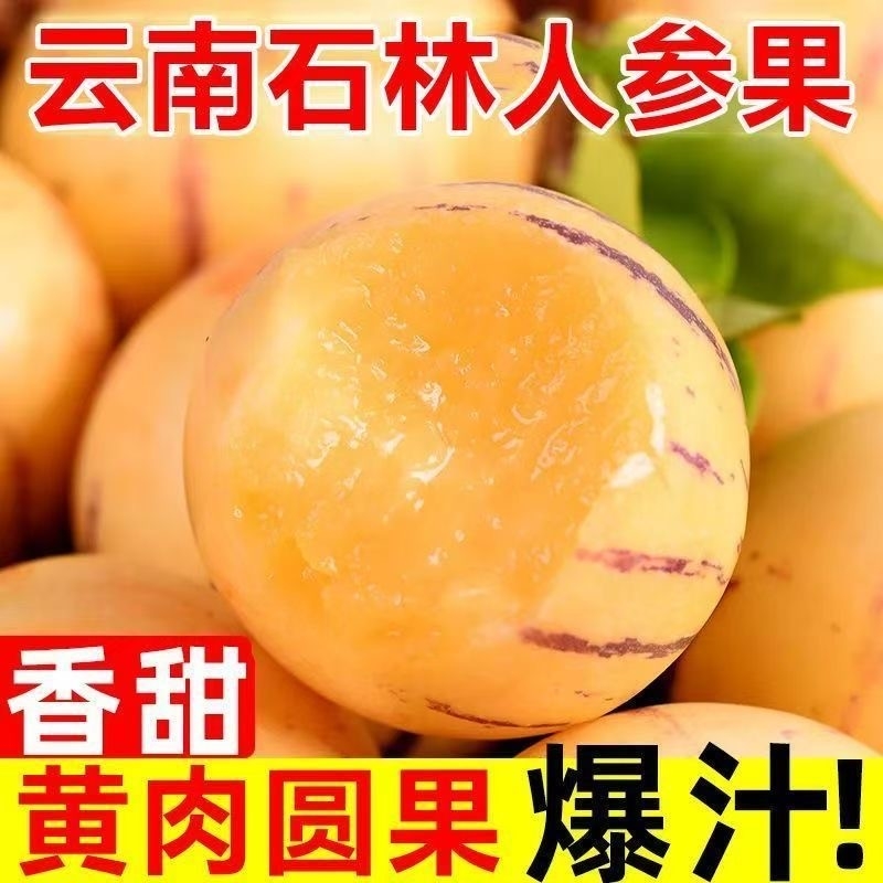 云南石林人参果树上熟圆果黄肉香甜多汁大果新鲜现摘当季水果包邮