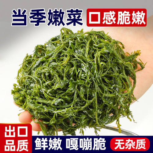 鞭炮笋海藻长寿菜凉拌菜海草藻菜鞭盐渍马尾藻羊栖菜火锅食材新鲜
