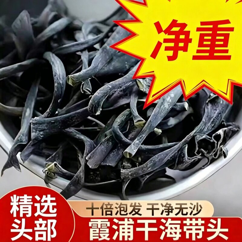 霞浦内海海带头厚度好，约15公分