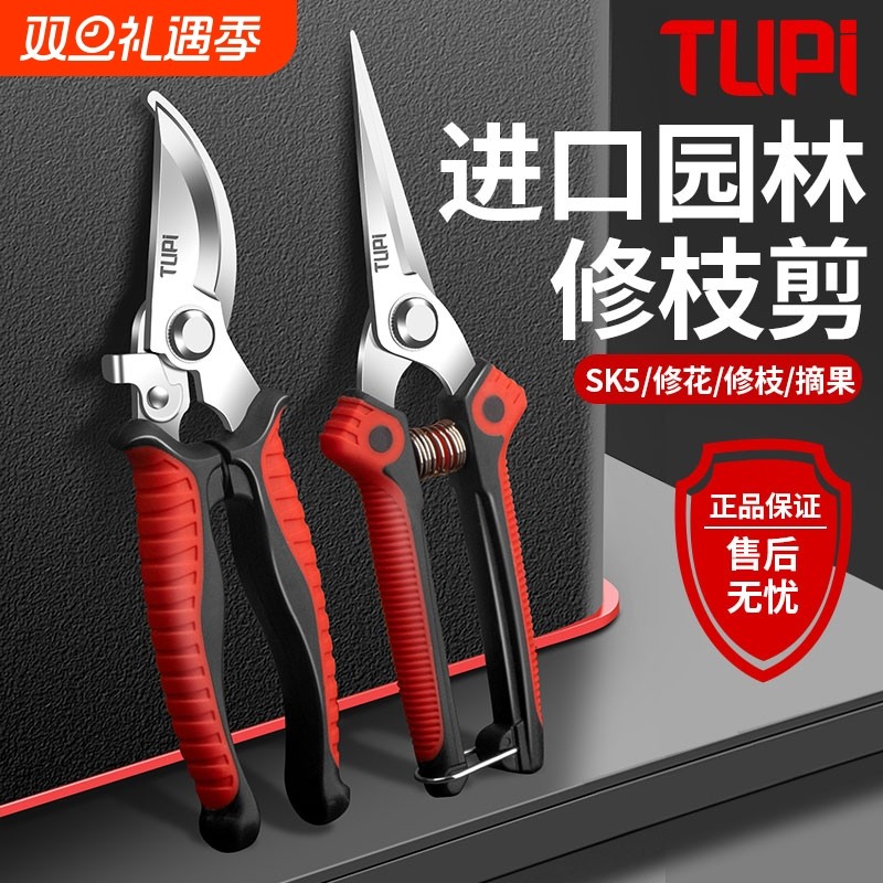 园艺强力修枝剪树枝专用果树修枝修花艺花剪园林剪枝盆景工具锋利