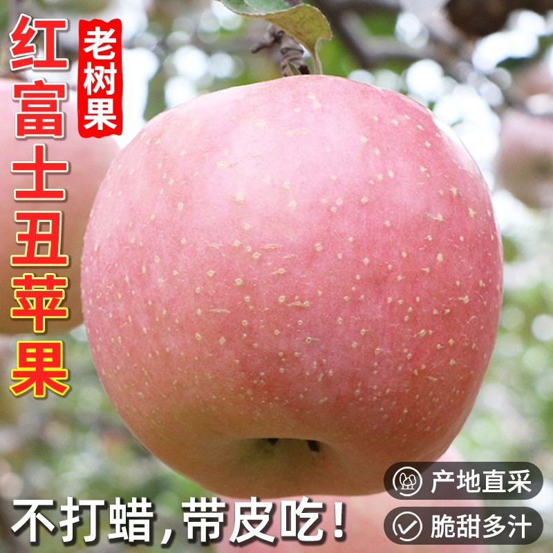 陕西红富士丑苹果水果新鲜应当季一整箱脆甜冰糖心孕妇批发包邮斤,水产肉类/新鲜蔬果/熟食,苹果,淘宝优惠券,粉丝福利购,淘宝优惠卷