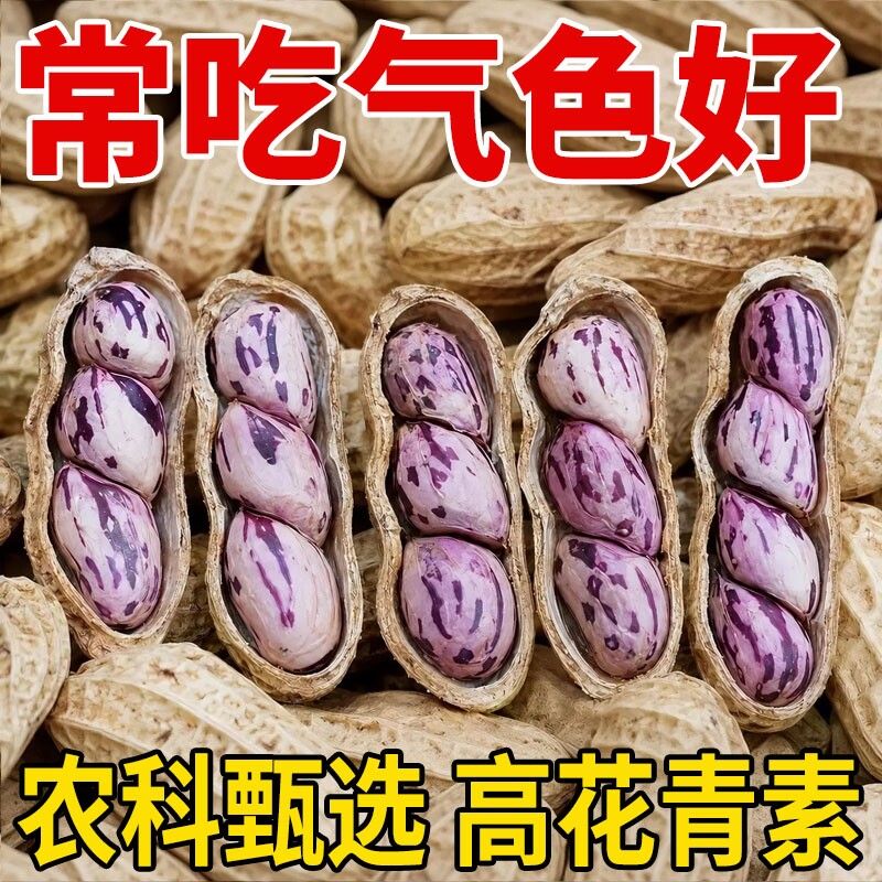 农科院推荐云南七彩花生富硒特级图片