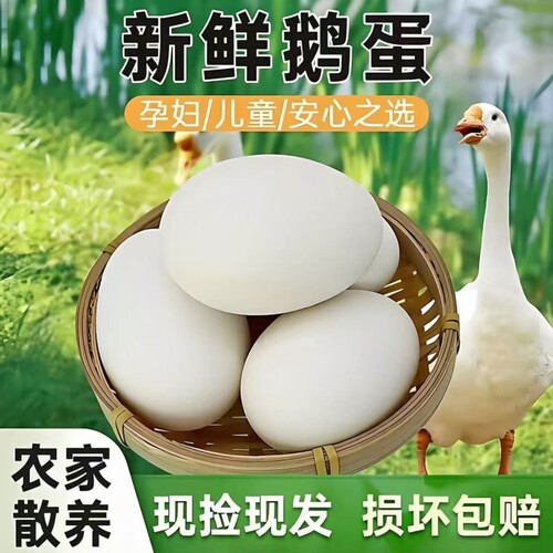 正宗新鲜大鹅蛋土鹅蛋现捡现发