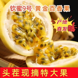 海南钦蜜9号黄金百香果新鲜甜水果当季整箱包邮原浆特大果汁