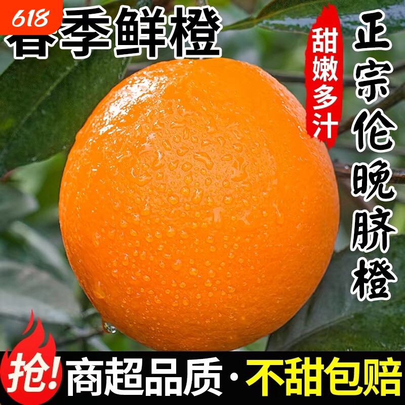 正宗伦晚脐橙春橙秭归橙子当季新鲜水果整箱果冻甜榨汁大果现摘