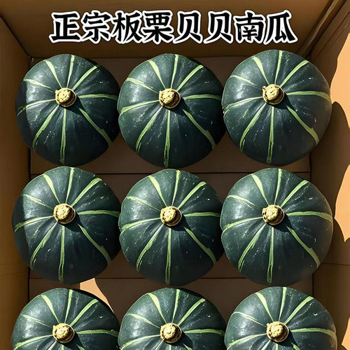 正宗贝贝南瓜新鲜板栗小南瓜