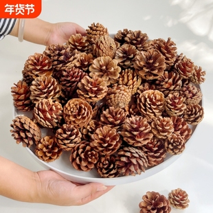松果球天然松塔装饰diy材料摆件幼儿园创意手工自然材料大号松树
