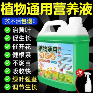 植物通用营养液花肥水培生根壮苗剂水溶肥强园林配件力快速生根剂