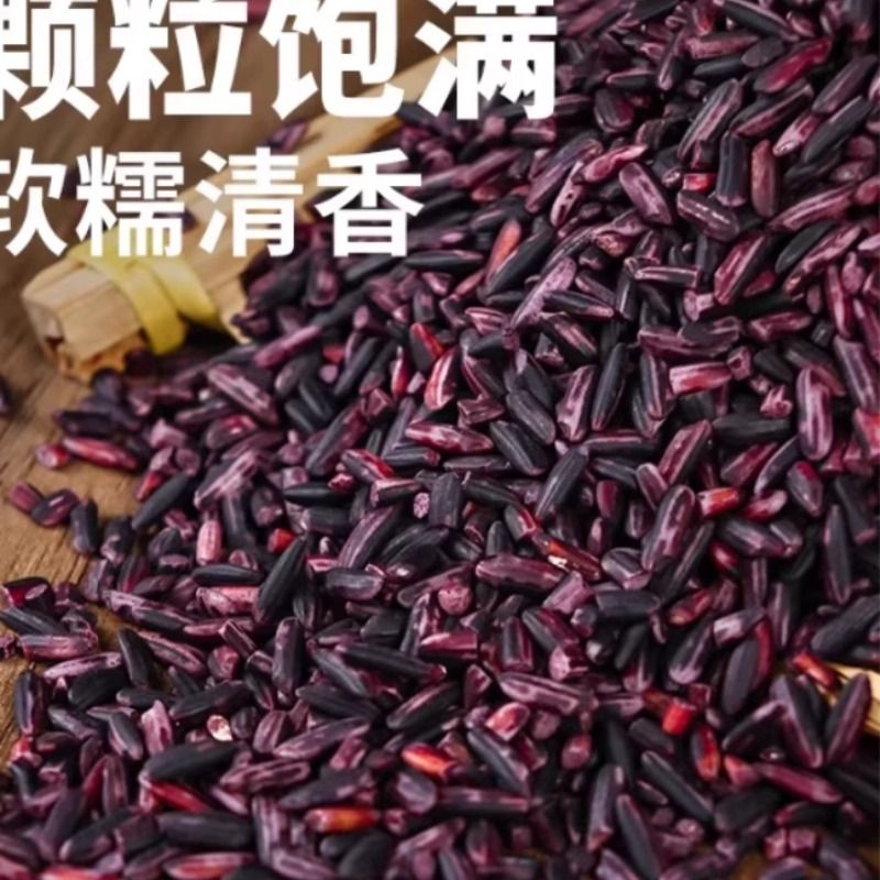 5斤云南紫米新货黑米糯米五谷杂粮煮粥全胚芽早餐绿色食品