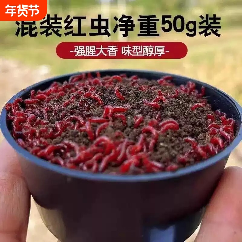 【新店福利中】红虫活饵鲜活红虫特大号红虫包活拉饵红虫鲫鱼饵料